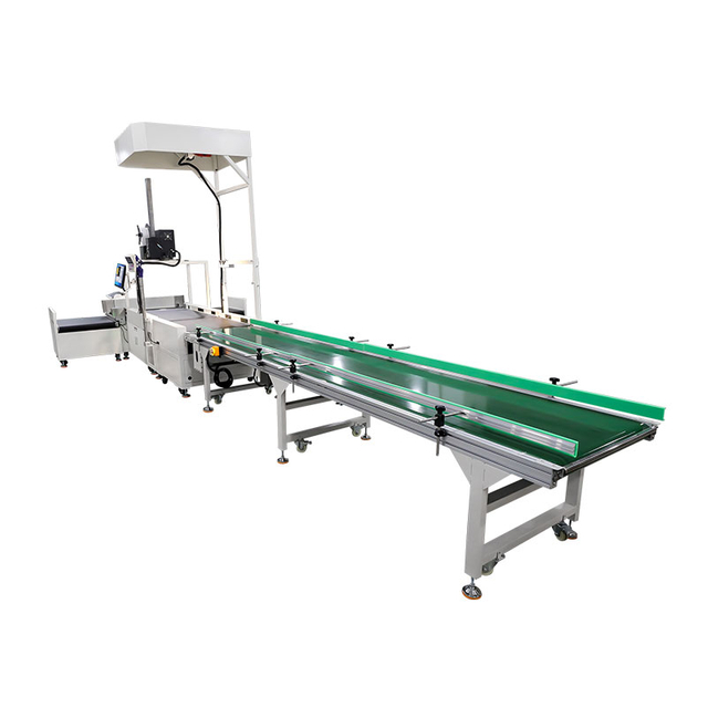 Static DWS Sorting System with Real-time Print & Apply Label Applicator