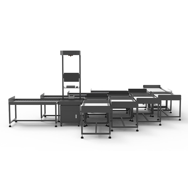 8 Ports Sorting Machine With Static DWS Parcel Measurering | Parcel Sorter Logistic Equipment