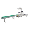 Static DWS Sorting System with Real-time Print & Apply Label Applicator