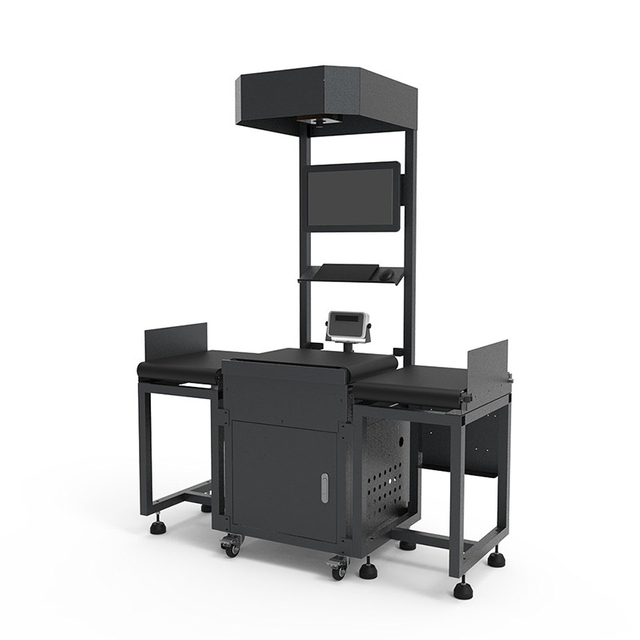 Static DWS System & 4 Stations Sorting