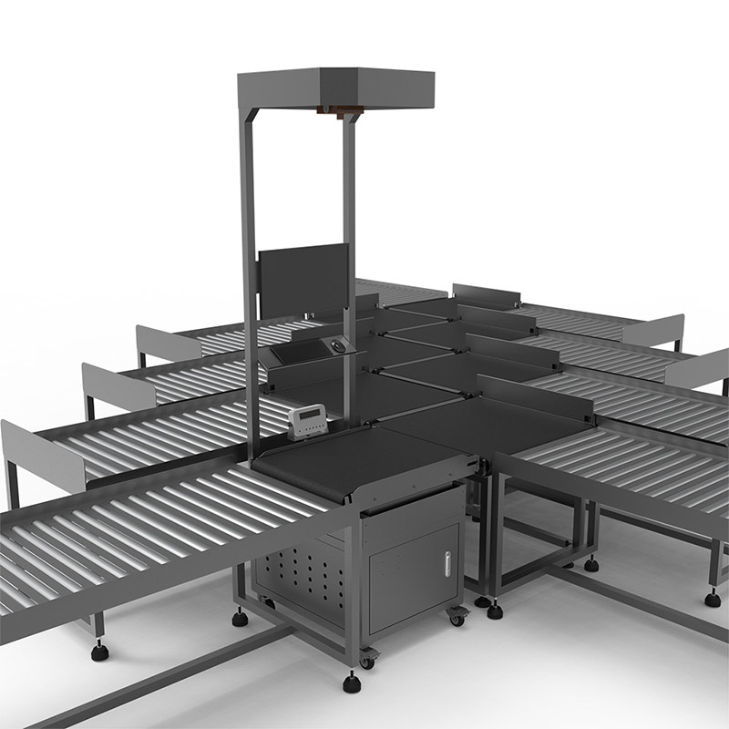 black DWS with 9 outfeeds sorting ways