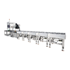 Apparel E-Commerce Parcel Sorter with Visual Inspection and Real-Time Print & Apply