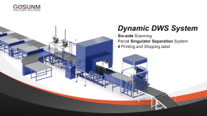 Dynamic DWS 6 Side Scanning Sorting Line.jpg