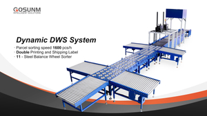 Dynamic DWS System with Steel Sorter Shipped to Spanish.jpg