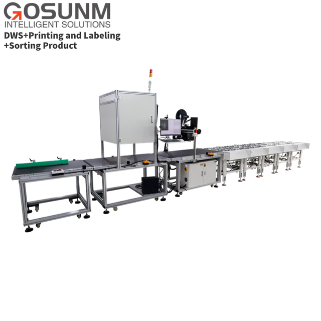 Apparel E-Commerce DWS+ Parcel Sorter with Real-Time Print & Apply Shipping Label