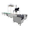 Static DWS Sorting System with Real-time Print & Apply Label Applicator